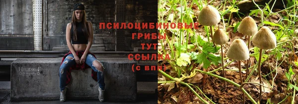 ешки Арсеньев